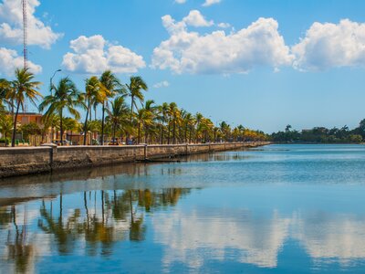  Cienfuegos, promenade in the city, coconut palm trees are reflected in the water. Sunny day with blue sky and clouds, Cuba