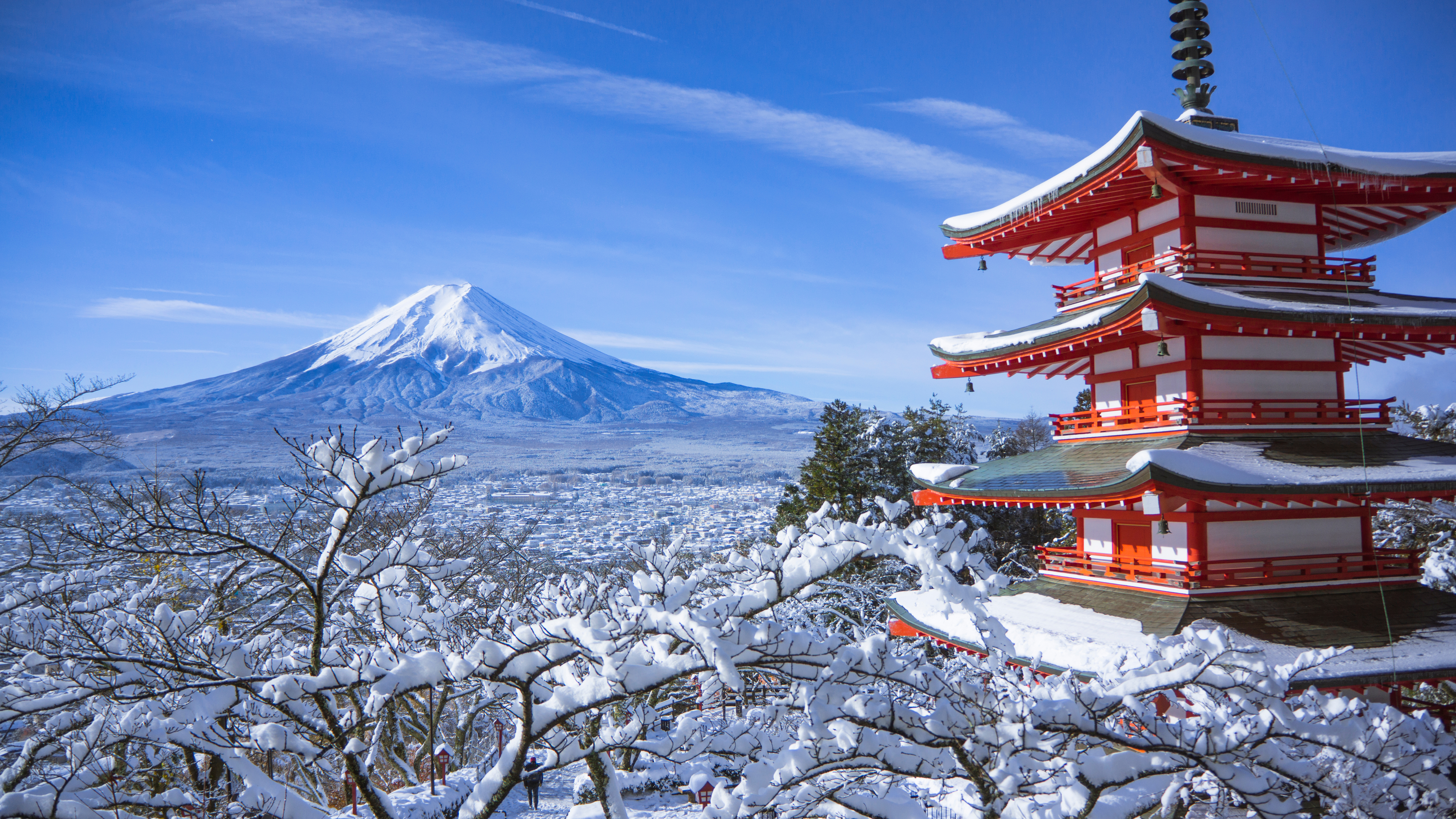 A Winter Adventure to Japan