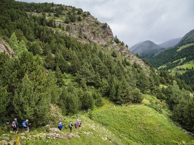 Ramble Worldwide group walking in line along grassy mountainside bending pathway with pine trees clustered nearby, Andorra (Chris Jagan).jpg