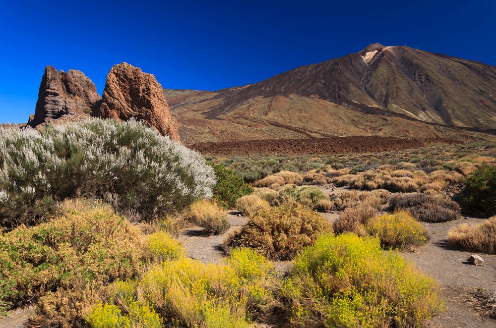 Lanzarote, Tenerife & La Gomera