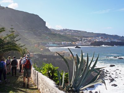 Group of walkers passing down coastal path towards coastal village with ferns hanging overhead and white waves crash into rocks on their right, Tenerife, Spain