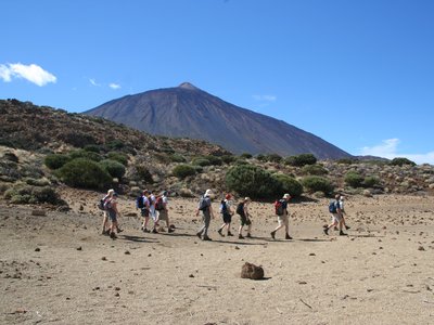 Group of walkers passing green bushes with mount Teide in background, Tenerife, Spain