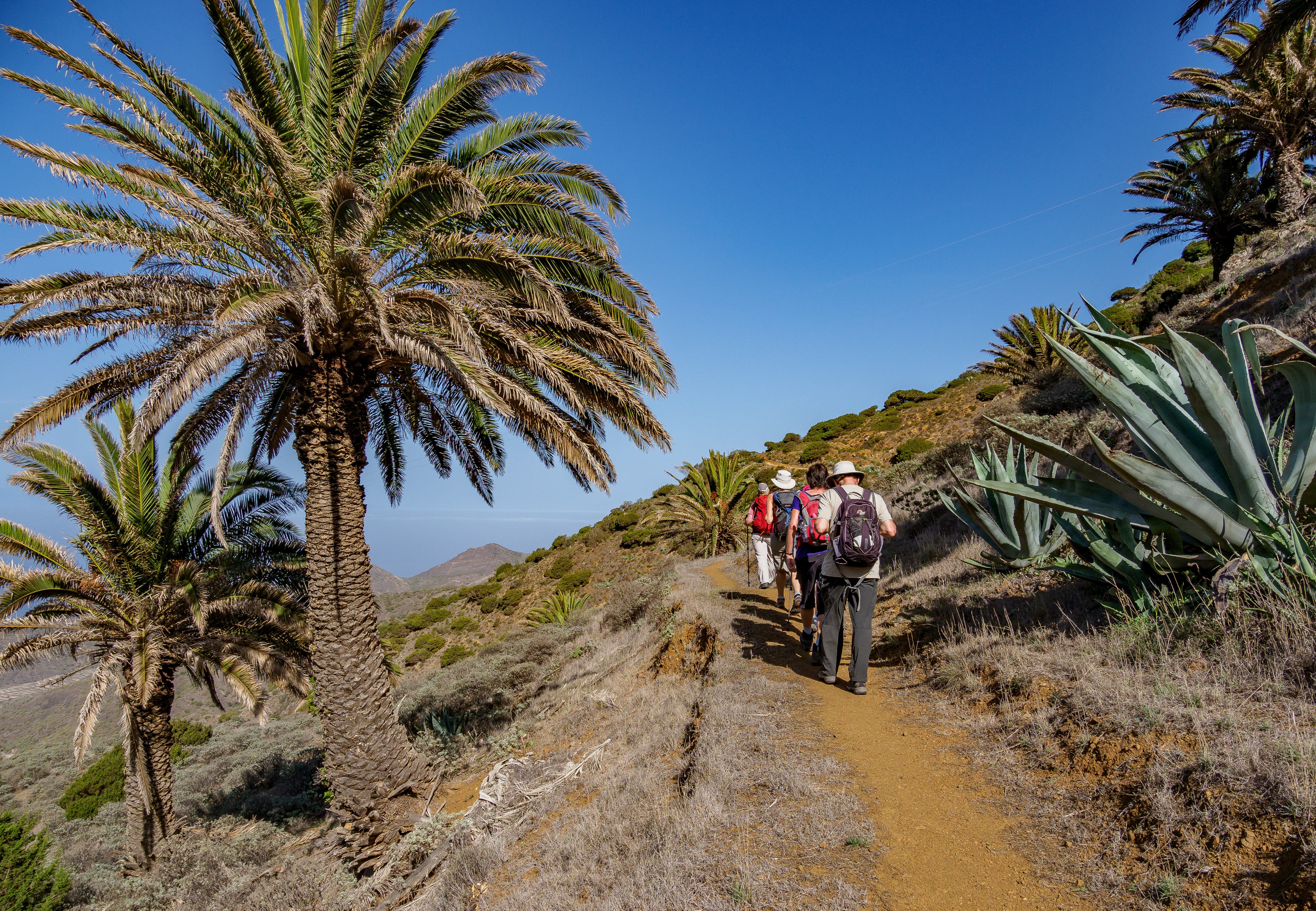 La Gomera, Lanzarote & Tenerife