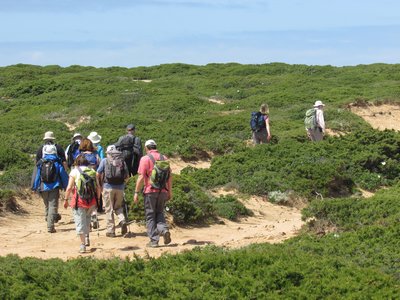 Group of walkers ascending meandering sandy coastal path near Cape St Vincent, Portugal