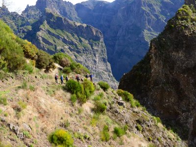 Walking group descending grassy mountain with surrounding mountains towering above in distance, Madeira, Portugal