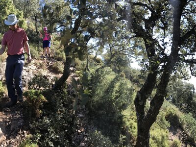 Man and woman descending through woodland on rocky path amongst interspersed tree shade, Sierra de las Nieves, Andalucia, Spain